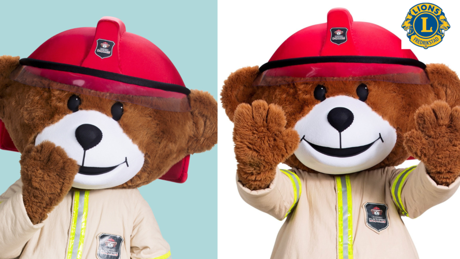 Brannbamsen Bjørnis