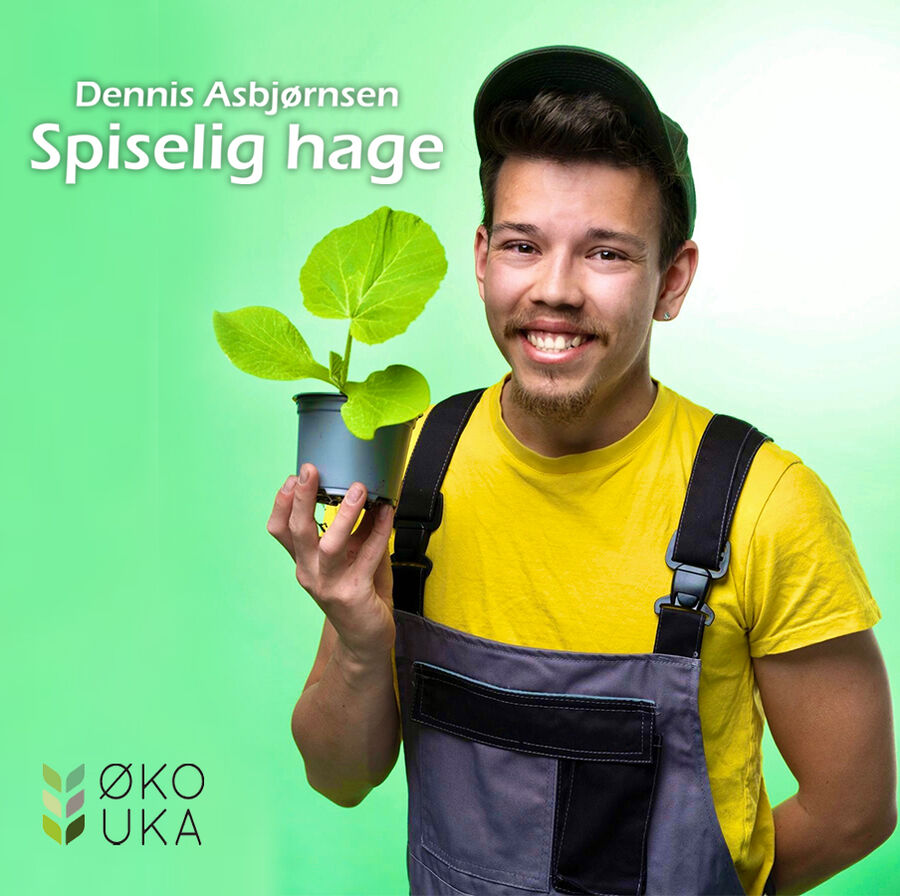 Bilde av Dennis Asbjørnsen Bilde av Dennis Asbjørnsen